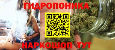гашик Ливны