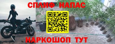 гашик Ливны
