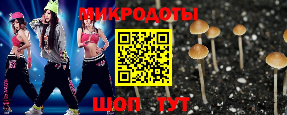 Галлюциногенные грибы MAGIC MUSHROOMS  Галлюциногенные грибы Magic Shrooms  Железноводск  Вход с VPN 
